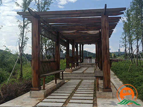 黔陽瞐黔陽黃桃產業園12