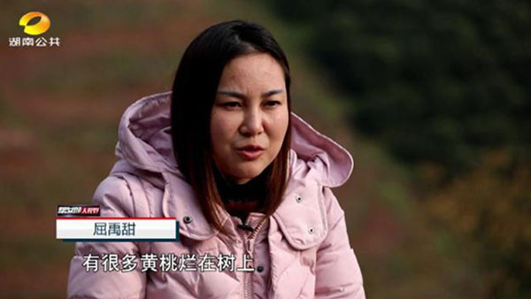 洪江市禹甜科技有限公司,農產品的批發零售