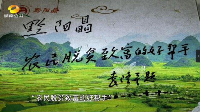 洪江市禹甜科技有限公司,農產品的批發零售