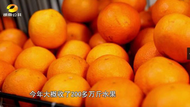 洪江市禹甜科技有限公司,農產品的批發零售