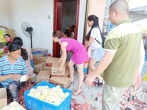 洪江市禹甜科技有限公司,農產品的批發零售 洪江市禹甜科技有限公司,農產品的批發零售