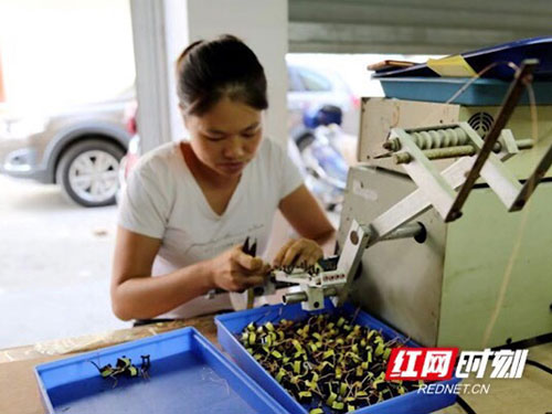 洪江市禹甜科技有限公司,農(nóng)產(chǎn)品的批發(fā)零售 洪江市禹甜科技有限公司,農(nóng)產(chǎn)品的批發(fā)零售