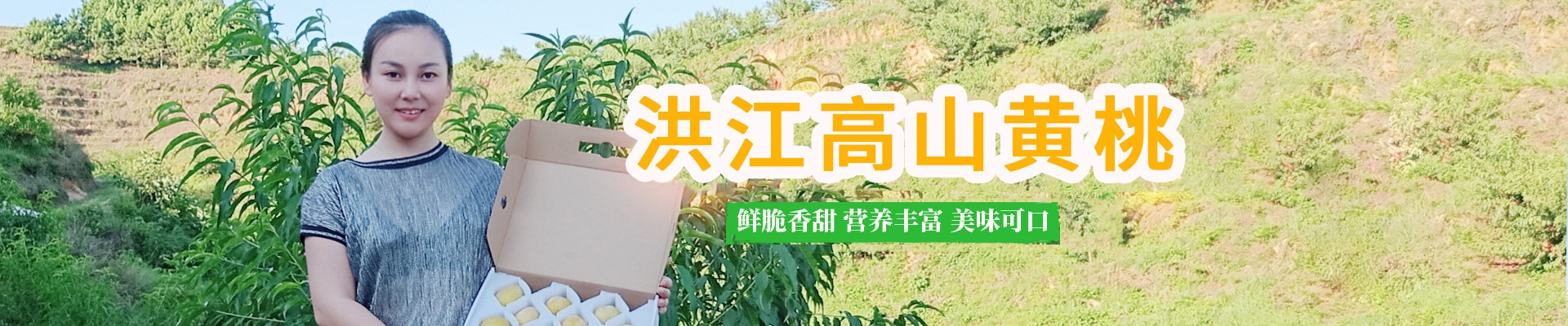 洪江市禹甜科技有限公司_黔陽瞐_農產品的批發(fā)零售 洪江市禹甜科技有限公司_黔陽瞐_農產品的批發(fā)零售